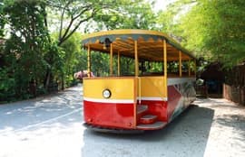 City Tour By Tram