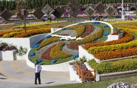 Dubai Miracle Garden
