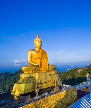 Top Attractions