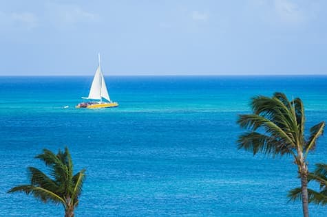 Explore Vilaflor