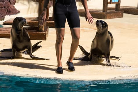Explore the Zoo